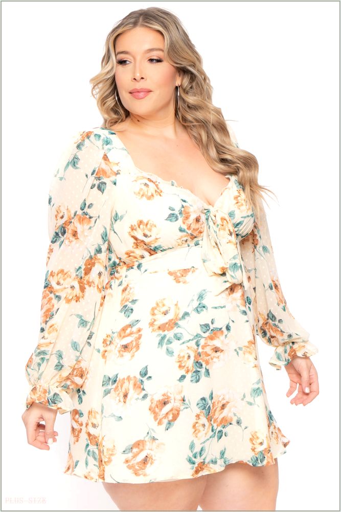  Plus Size Serena Chiffon Floral Dress - Ivory Y10-CS2177FP-IV-3X