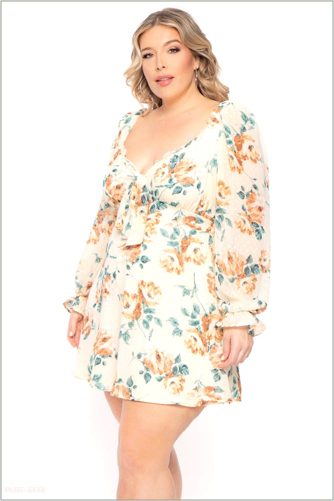  Plus Size Serena Chiffon Floral Dress - Ivory Y10-CS2177FP-IV-3X